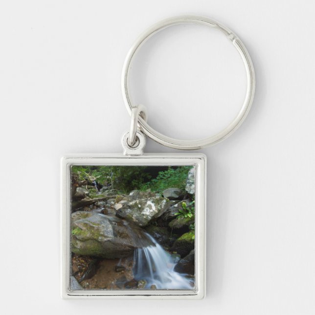 Unterer Dunkler Hollow Falls, Shenandoah Schlüsselanhänger (Vorne)
