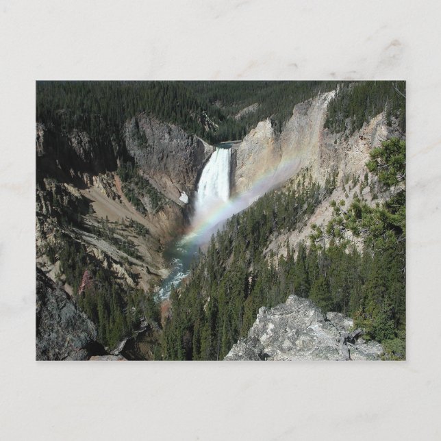 Unterer Fall Yellowstone Postkarte (Vorderseite)