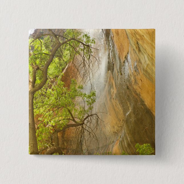 Unterer Smaragdpool Wasserfall Rote Felsen und Bau Button (Vorderseite)