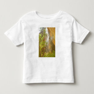 Unterer Smaragdpool Wasserfall Rote Felsen und Bau Kleinkind T-shirt