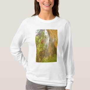 Unterer Smaragdpool Wasserfall Rote Felsen und Bau T-Shirt