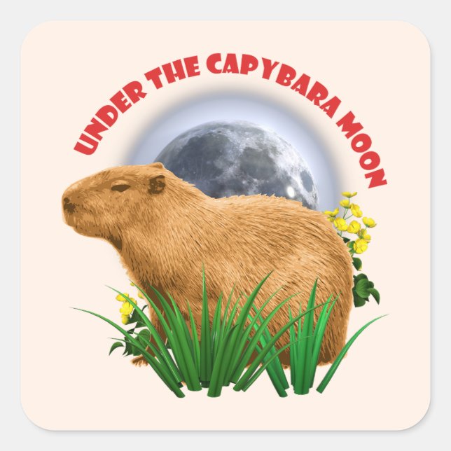 Unterhalb des Capybara Moon Funny Capybara Quadratischer Aufkleber (Vorderseite)