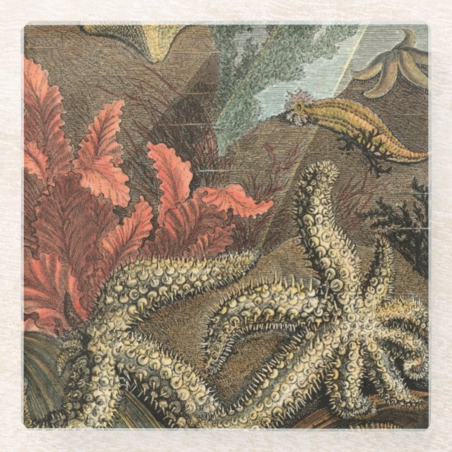 Unterhalb des Meeres Glasuntersetzer (Vorderseite)