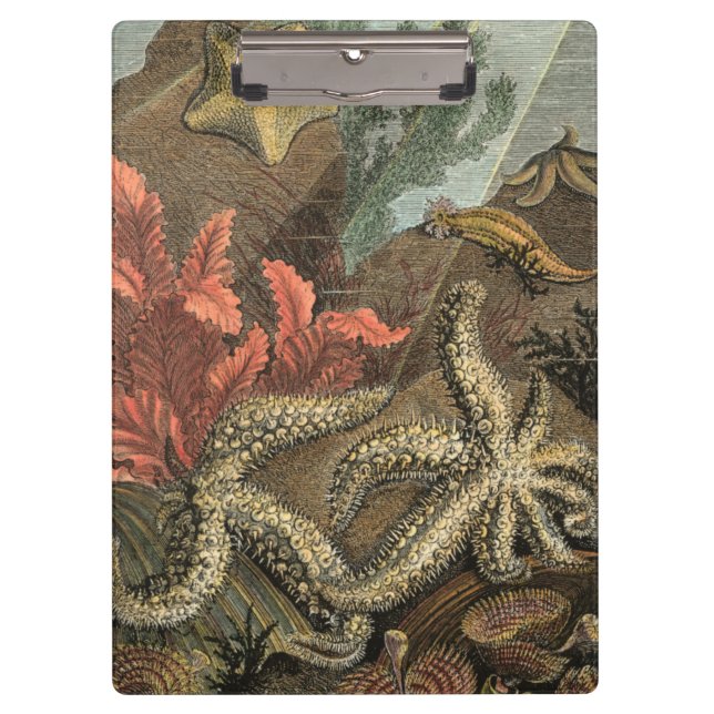 Unterhalb des Meeres Klemmbrett (Vorderseite)