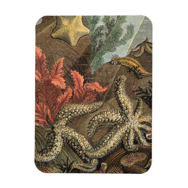 Unterhalb des Meeres Magnet (Vertikal)