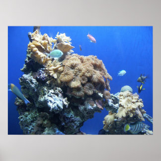 Unterhalb des Meeres Poster