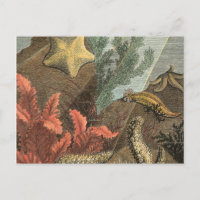 Unterhalb des Meeres