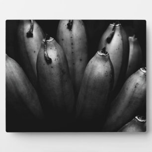 unterhaltsame Gruppe Fotoplatte
