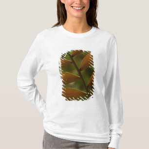 Unterholz-Palme im Detail. Mindo Cloud Forest. T-Shirt