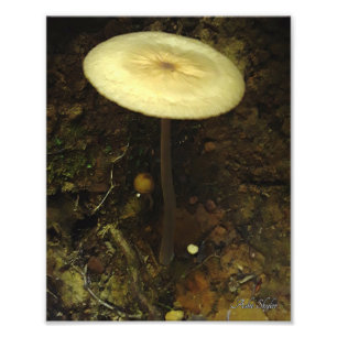 Unterkunft Fotodruck