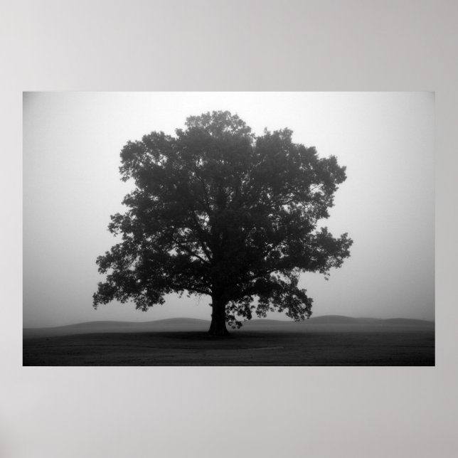 Unterkunft Poster (Vorne)