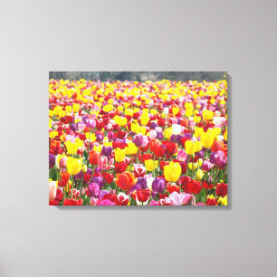 Unternehmens Kunst Drucke Leinwand Paneele Tulpen