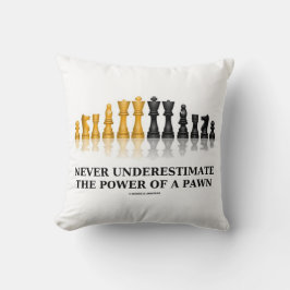 Unterschätzen Sie nie den Power eines gepflasterte Kissen