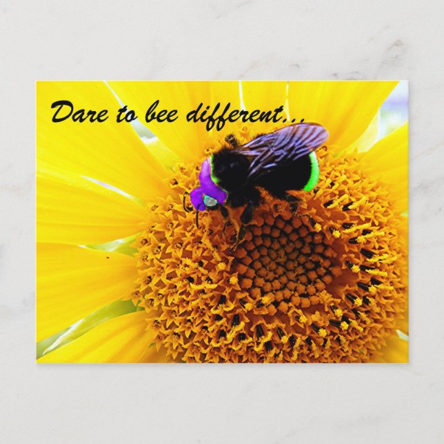 Unterschiedlich Postkarte (Vorderseite)