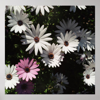 Unterschiedlich und dennoch schön poster