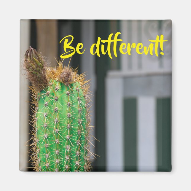 Unterschiedliches Cactus Inspiration Magnet sein (Vorne)
