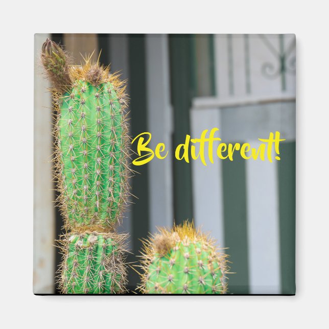 Unterschiedliches Cactus Inspiration Magnet sein (Vorne)