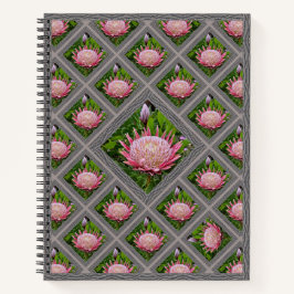 Unterschiedliches Notebook mit hübsch rosa Proteas Notizbuch