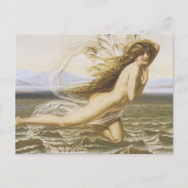 Unterseefutter Postkarte (Vorderseite)