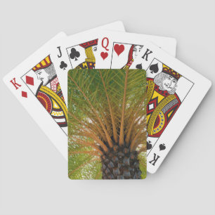 Unterseite einer Palme Spielkarten