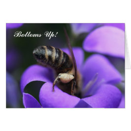 Unterseiten oben! Karte