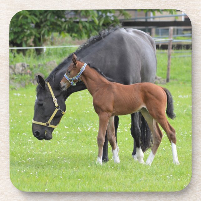 Untersetzer (Vorderseite)