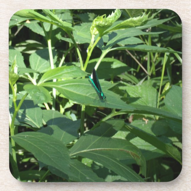 Untersetzer (Vorderseite)