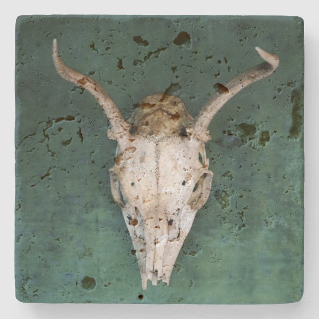 Untersetzer "Animal Skull Stone" (Vorderseite)