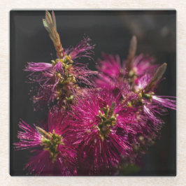 Untersetzer aus Bottlebrush, Bottlebrush, Unterset