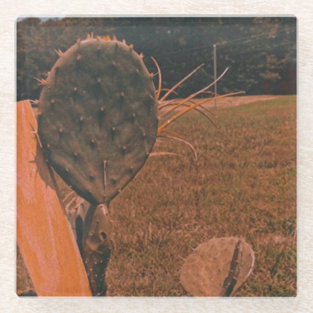 Untersetzer aus Feldglas (Vorderseite)