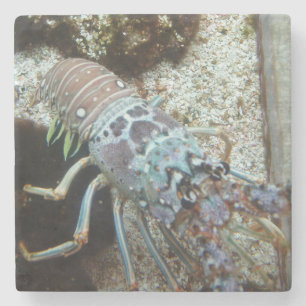 Untersetzer aus festem Stein