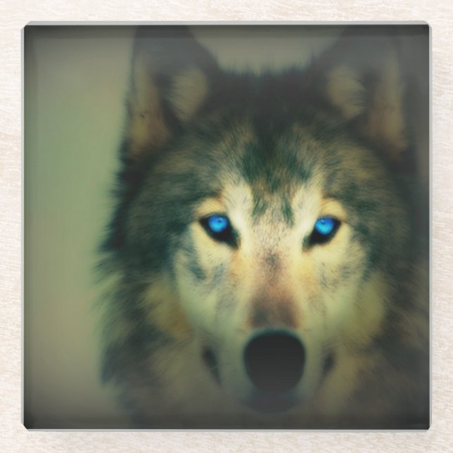 Untersetzer aus Glas/Wolf (Vorderseite)