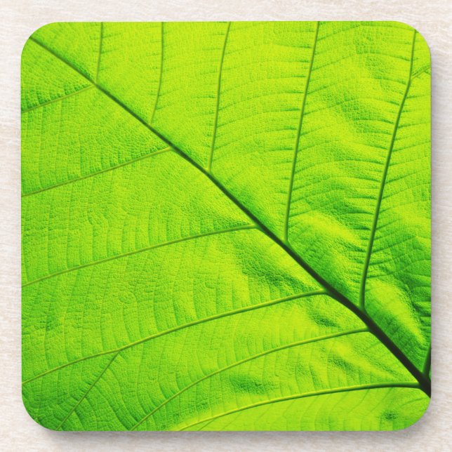 Untersetzer aus grünem Leaf (Vorderseite)
