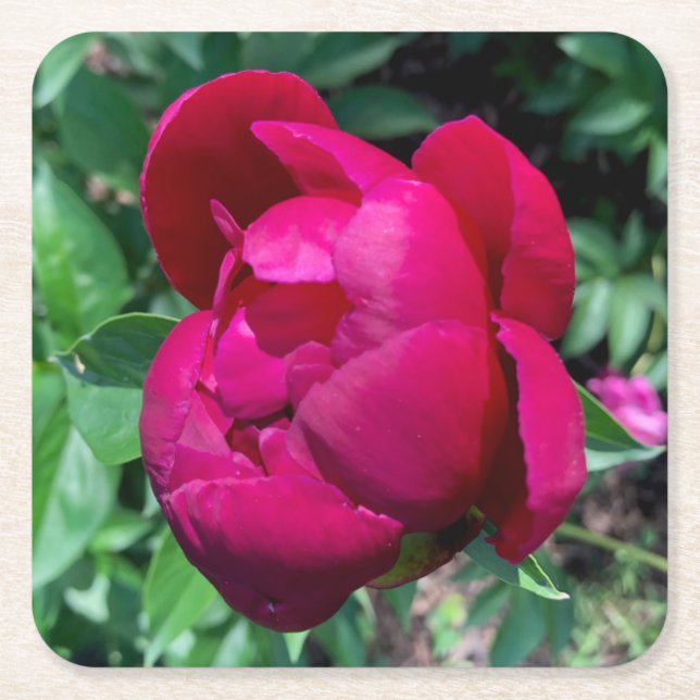 Untersetzer aus Peony Paper Drink (Vorderseite)