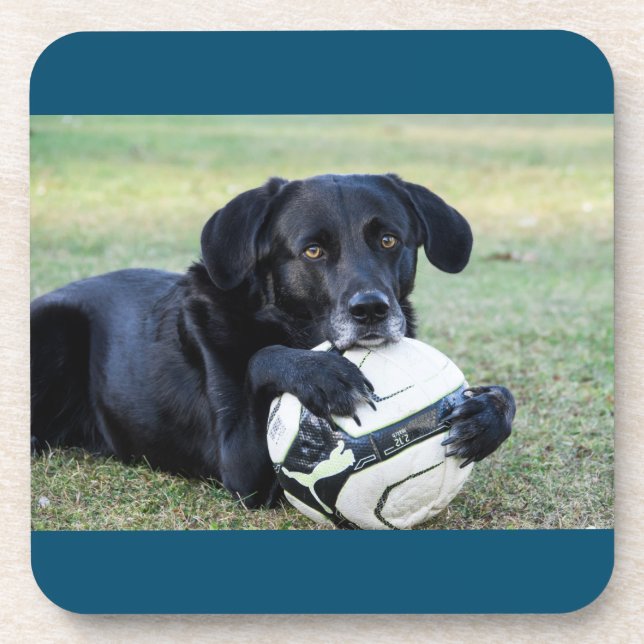 Untersetzer aus schwarzem Labor.  Set von sechs Ja (Vorderseite)