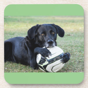 Untersetzer aus schwarzem Labor.  Set von sechs Ja