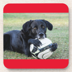 Untersetzer aus schwarzem Labor.  Set von sechs Ja