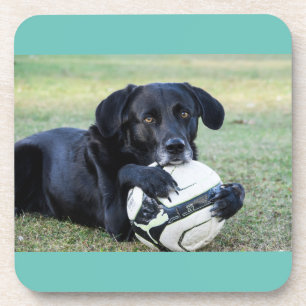 Untersetzer aus schwarzem Labor. Set von sechs Jah