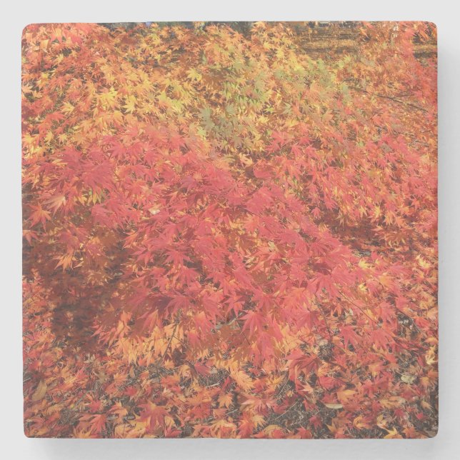 Untersetzer der Herbstblase (Vorderseite)