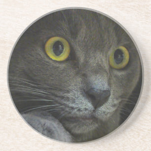 Untersetzer der Intensität