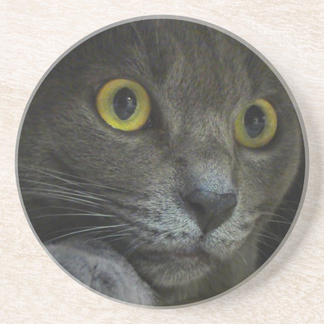 Untersetzer der Intensität (Vorne)