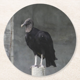 Untersetzer der Vulkaniumplatte