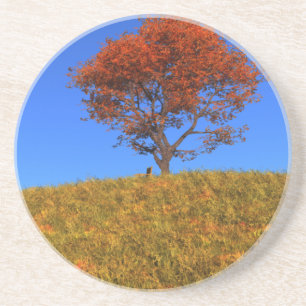 Untersetzer des Herbsttages löschen