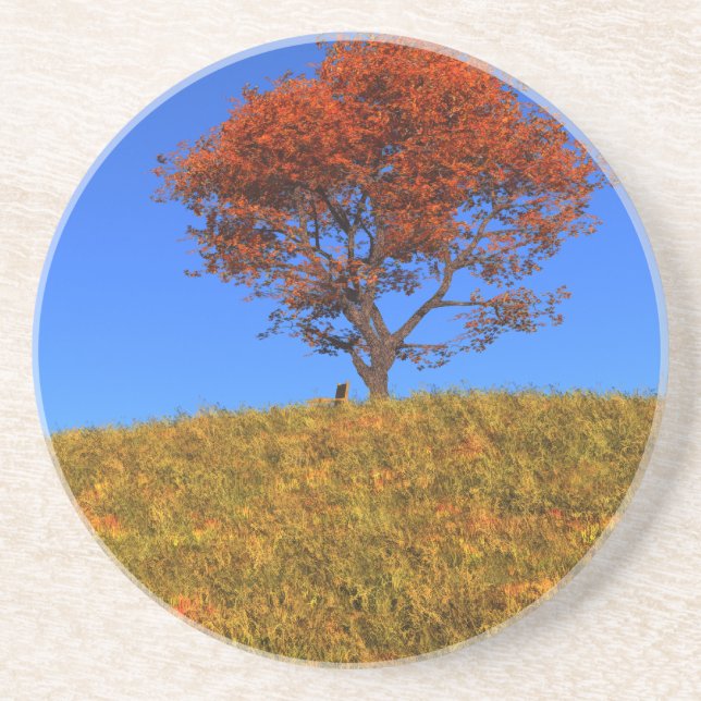 Untersetzer des Herbsttages löschen (Vorne)