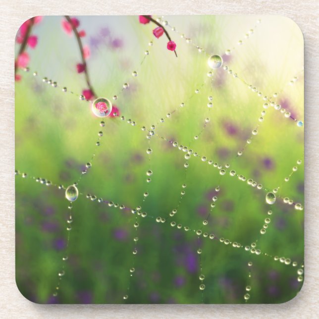 Untersetzer eines Frühjahrskorks (Vorderseite)