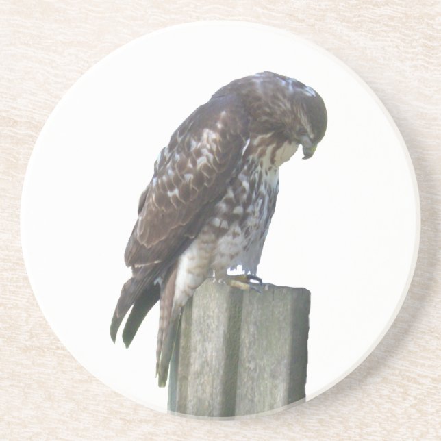 Untersetzer - Falcon (Vorne)