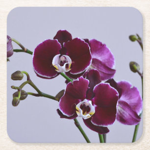 Untersetzer für lila Orchideenpapier