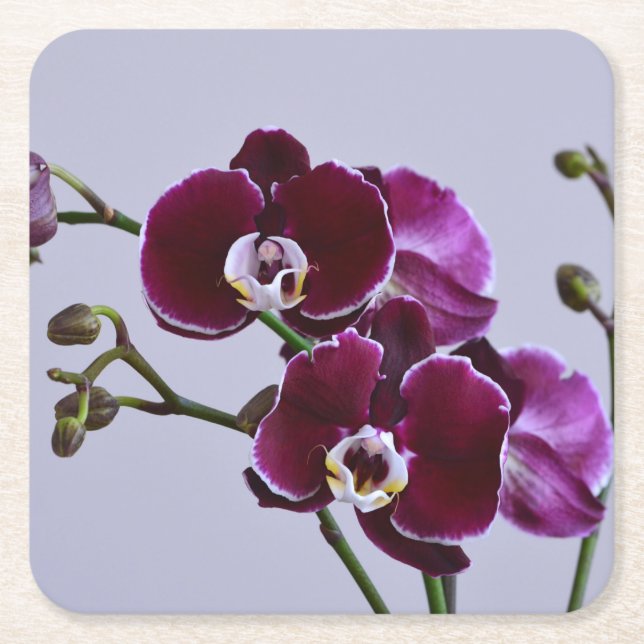 Untersetzer für lila Orchideenpapier (Vorderseite)
