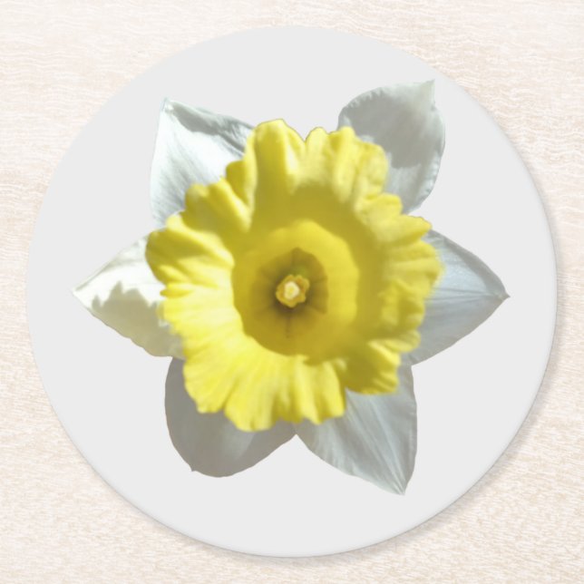 Untersetzer für Weißholzpapier (Vorderseite)