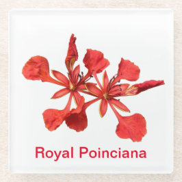 Untersetzer Glass Royal Poinciana Blume